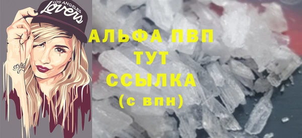 прущие грибы Новодвинск