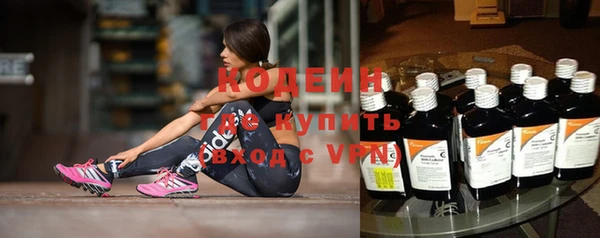прущие грибы Новодвинск