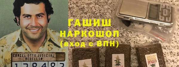 прущие грибы Новодвинск