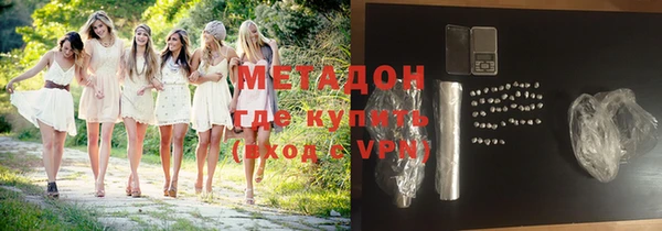 прущие грибы Новодвинск