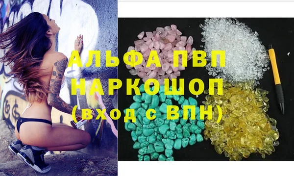 прущие грибы Новодвинск