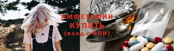 прущие грибы Новодвинск
