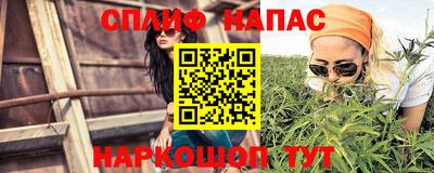 прущие грибы Пушкино