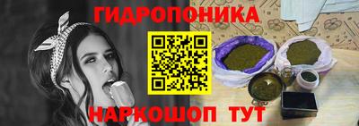 прущие грибы Пушкино
