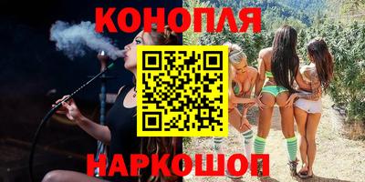 шишки Пугачёв